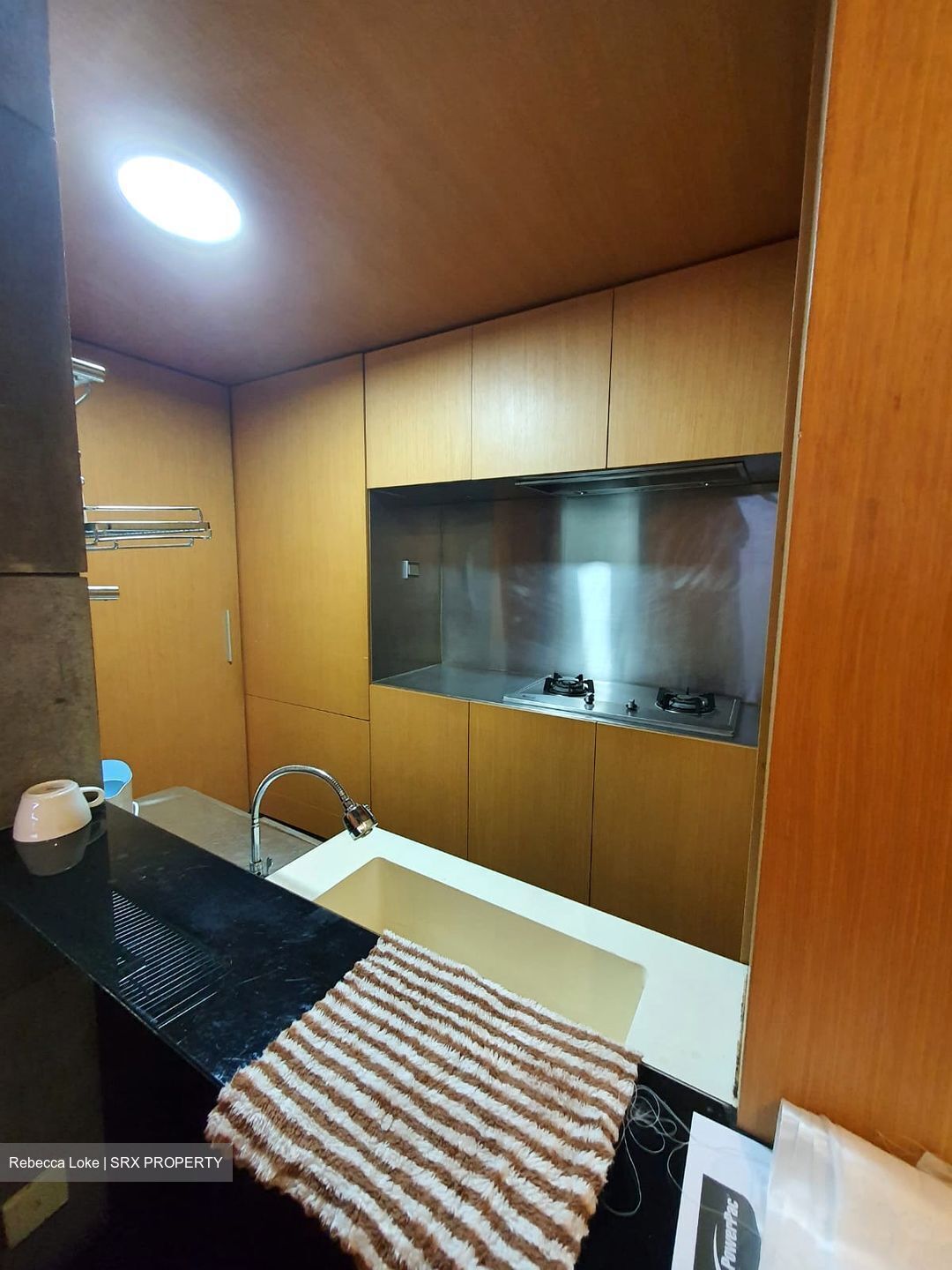 Nineteen Shelford Road (D11), Condominium #585551441